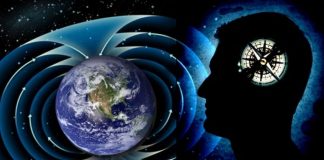 Les Balises de Lumière, Un Rappel de la Maison